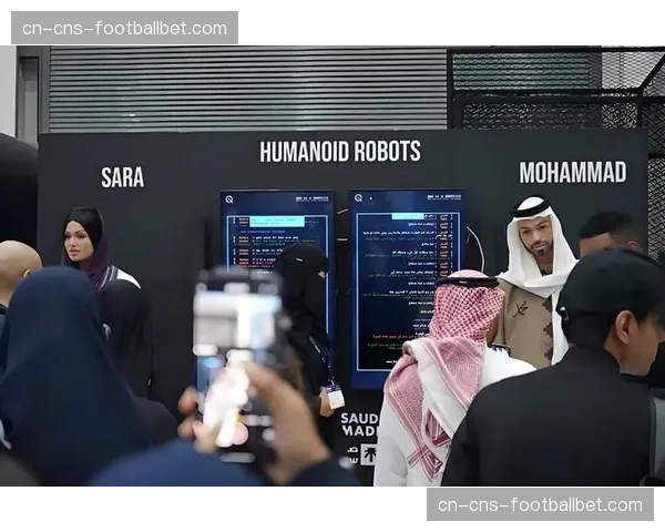 背景调查：沙特主权基金有意投资欧洲顶级冰球联赛的背后